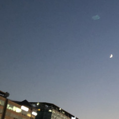 night demo