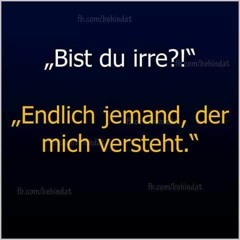 B-Day@Ramses-aka-Silberrücken