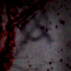 Cult Member (Prod. Y4RK)