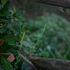 WhenWillYou || Log i