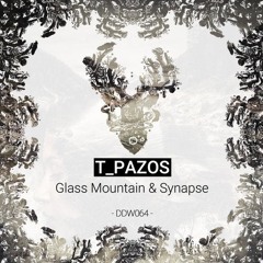 T_Pazos Synapse (Original Mix)