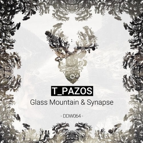 T_Pazos Synapse (Original Mix)