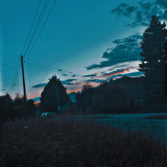 Ice Cube   Fck Tha Police live 1998