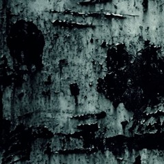 Dark Melodic Tech 130+ mixed by TOMY