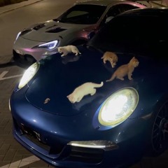 list the distractions (prod.seye)