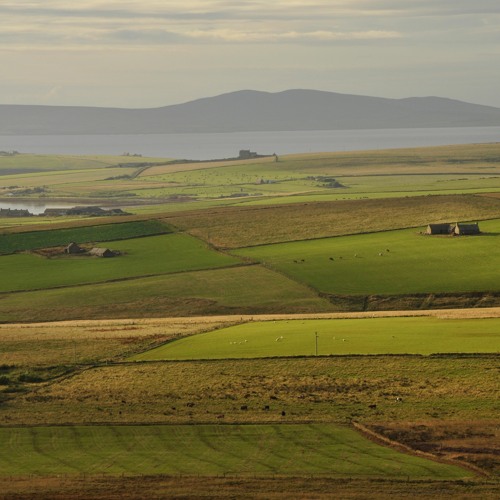 Goats And Kids (PU2)