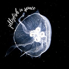 Sun Moon Lane - Jellyfish in Space - Band-Version