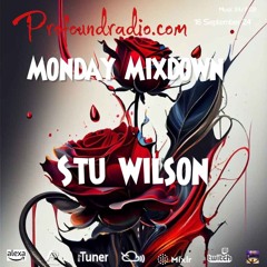#208 Profound Radio  Progressive House  @djstuwilson