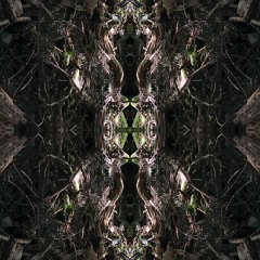 Ambient Synchromute Selections