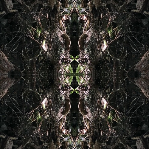 Ambient Synchromute Selections