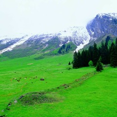 Dj達達出局復古