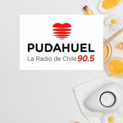 Entrevista Radio Pudahuel - Programa El que la sigue, la consigue "Día de la Miel"