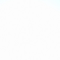 NOT XANIME - RACECAR