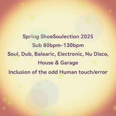 Spring ShoeSoulection 2025