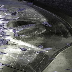 hardware betrayal 2 :: volume up