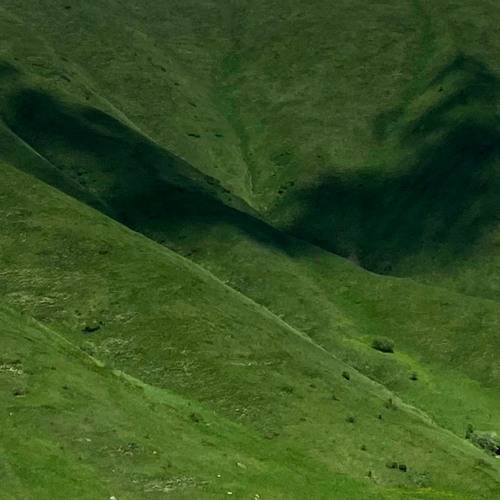 Voices from ancient strings