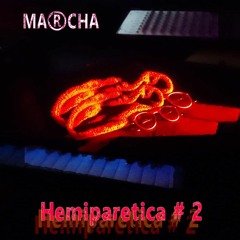 Hemiparètica #2 //// Alterna Menta B2B Roberta