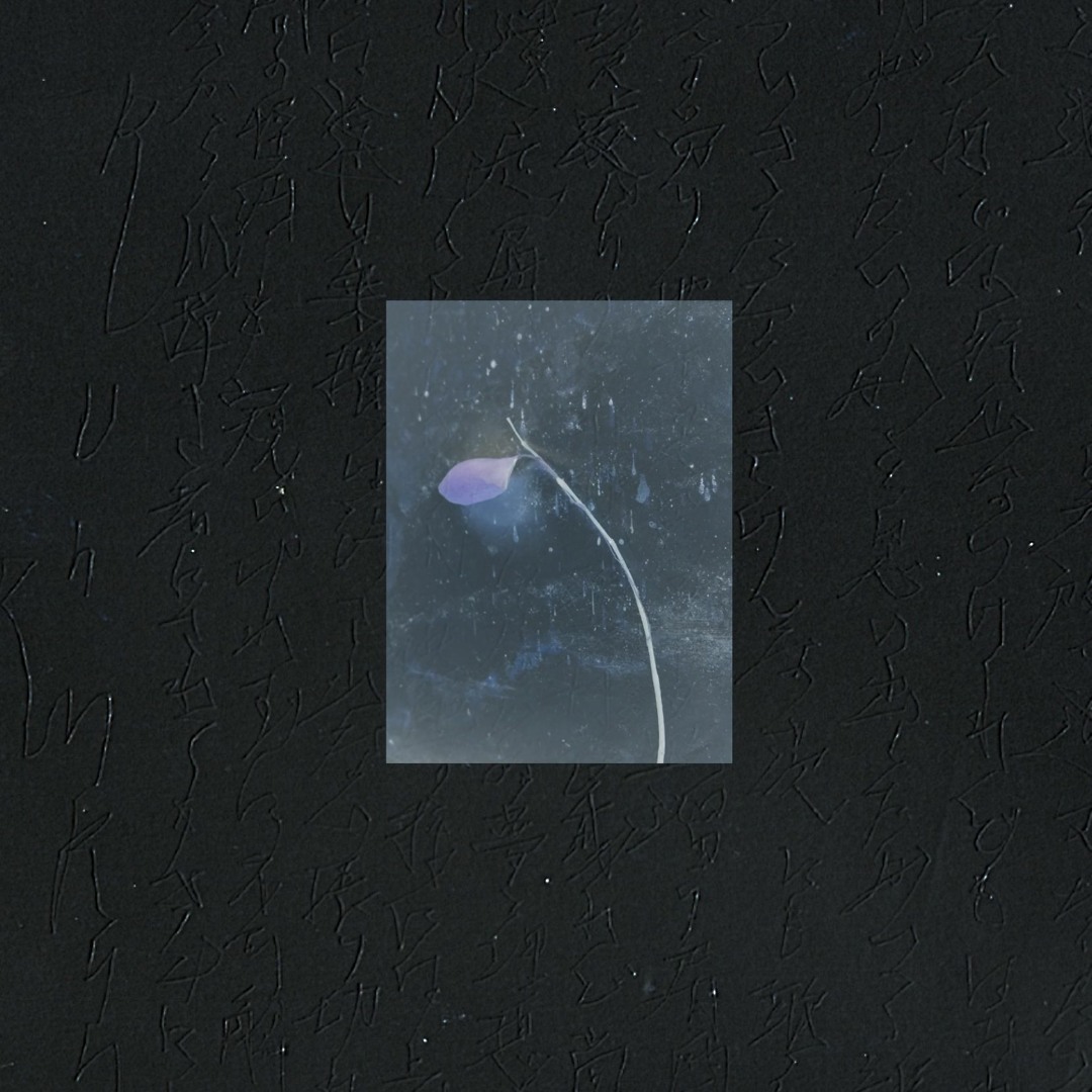 Stream ＜心眼銀河-SHINGANGINGA-＞ 蝶道 - CHYOUDOU- 作詩・作曲：志