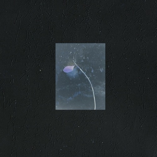 Stream ＜心眼銀河-SHINGANGINGA-＞ 蝶道 - CHYOUDOU- 作詩・作曲：志