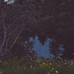summer night