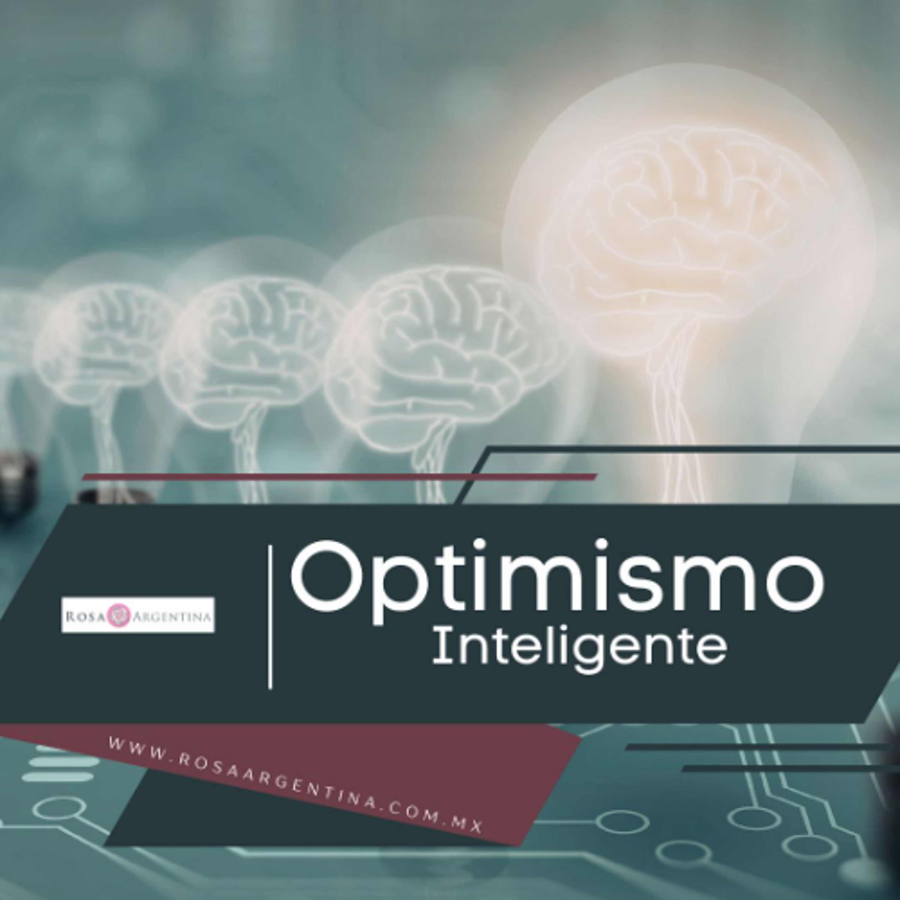 OPTIMISMO INTELIGENTE