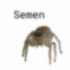 NEW MIC FREESTYLE! (prod.shushuboi)