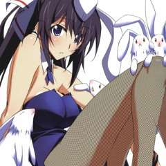 Do You Like Bunny Girls?