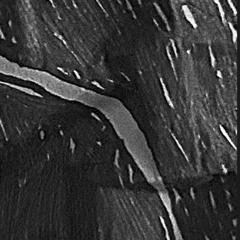 I can’t stay (prod. Pyctur)