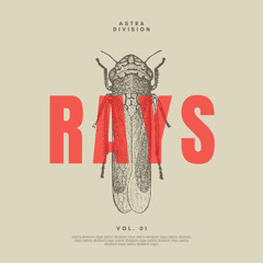Rays