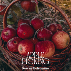 Apple Picking