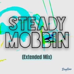 XCENTRiC - Steady Mobbin (Extended Mix)