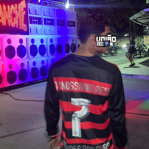 BROTA NO BAILE DO PANTA vs LAS VEGAS & ALMA 2025 [ DJ WGDOCATARINA ]
