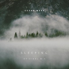SLEEPING (ORIGINAL MIX)