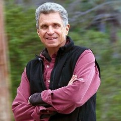 Conversation with Michael & Alberto Villoldo ~The Wisdom Wheel