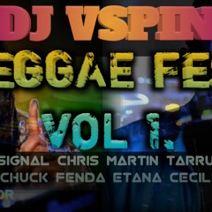 REGGAE FEST VOLUME 1_DJ VSPIN