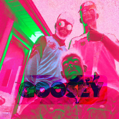 GOOSEY~D`TRIP MIX(1HR)