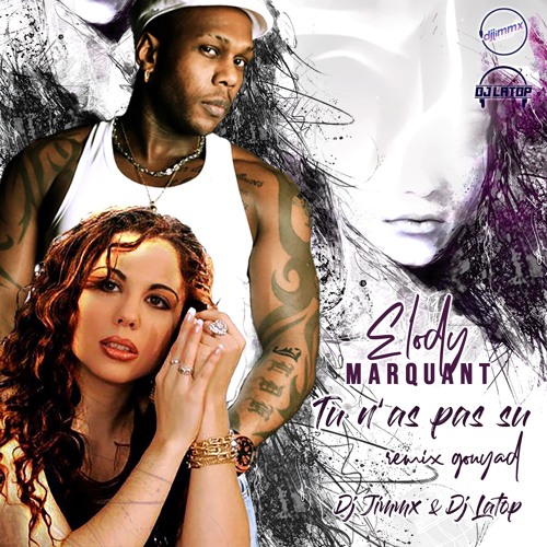 Tu N'as Pas Su (Remix Djimm'X & Dj Latop)