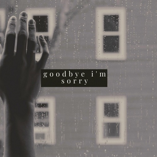 Goodbye I'm Sorry
