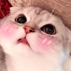 Невесомость