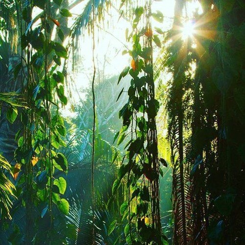 Current Mood: 001 Global Bass Mini Mix