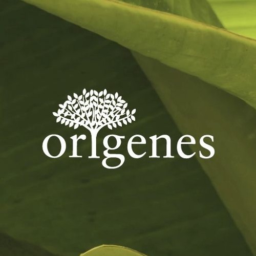 Orígenes ( Albüm Live Session ) - Fumaratto Ferroso