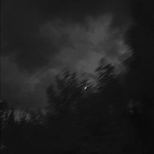 d4vd - romantic homicide ~ ﾉ slowed & reverb + rain ﾉ