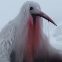 H̴͈̫̱͒̔Ũ̶̖N̵̆̀ͅG̵̛͎͆R̴͉͍͔͛Y̶͕͘