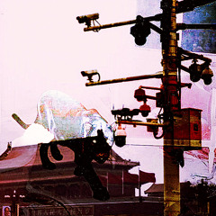 tears dont drop (BayerGartner Cabernett)