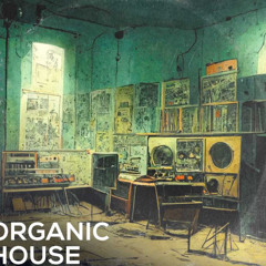 Second One - Organic House