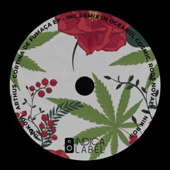 PREMIERE: Arthus - Smooook [INDK001]