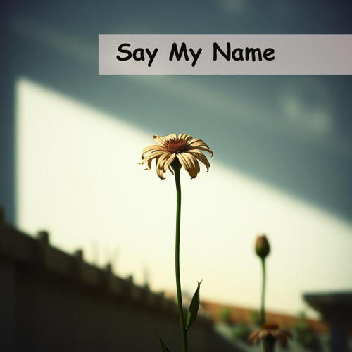 Say My Name