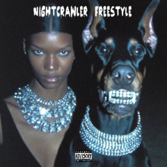 NIGHTCRAWLER FREESTYLE