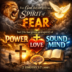 What's Working In You