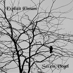 Ein Engel stirbt (Radio Mix)